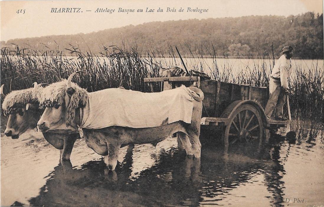 Biarritz. Attelage Basque au Lac du Bois de Boulogne. Non … | Immagine principale
