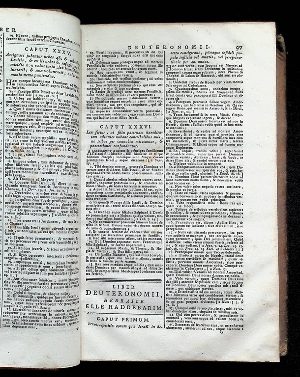 Biblia Sacra Vulgatae Editionis SIxti V et Clementis VIII. Editio … | Immagine Gallery 10