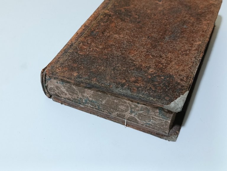 Biblia Sacra Vulgatae Editionis SIxti V et Clementis VIII. Editio … | Immagine Gallery 3