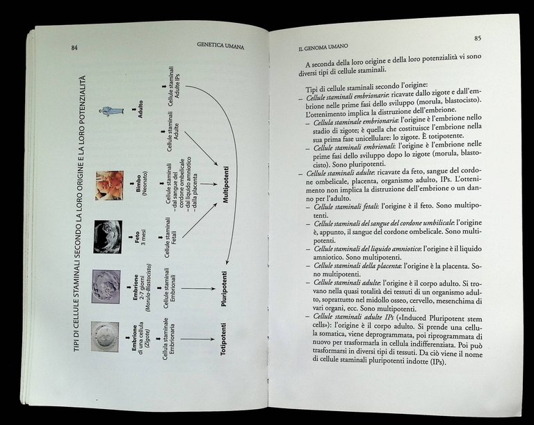 Bioetica per tutti | Immagine Gallery 8