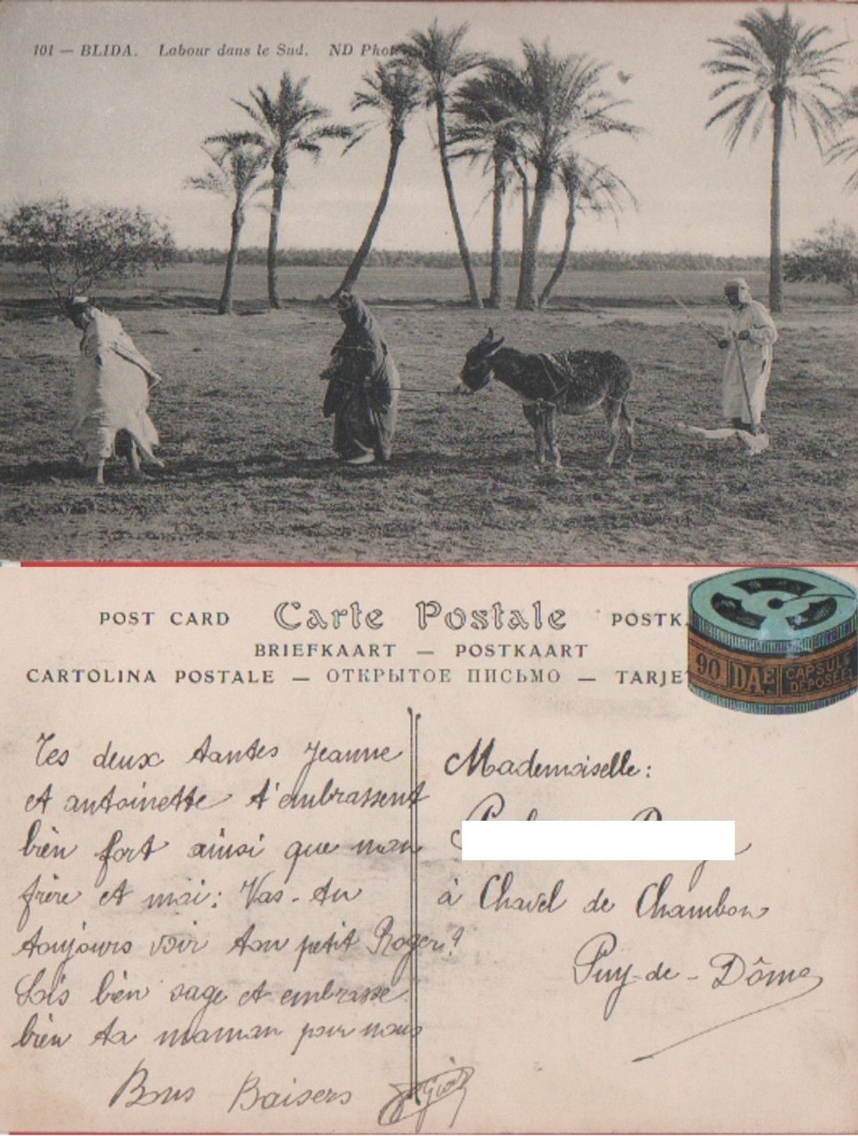 Blida (Algeria). Labour dans le Sud. Viaggiata | Immagine principale