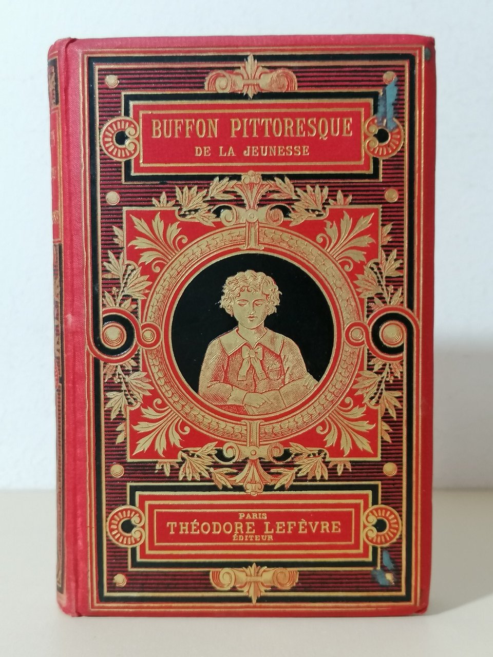 Buffon Pittoresque de la jeunesse Livre Libro in francese Lefevre …