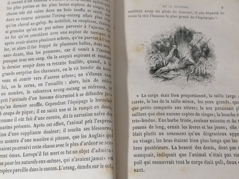 Buffon Pittoresque de la jeunesse Livre Libro in francese Lefevre …