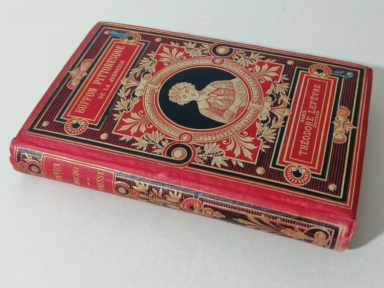 Buffon Pittoresque de la jeunesse Livre Libro in francese Lefevre …