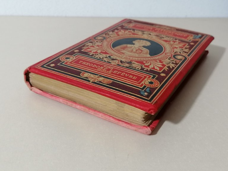 Buffon Pittoresque de la jeunesse Livre Libro in francese Lefevre …