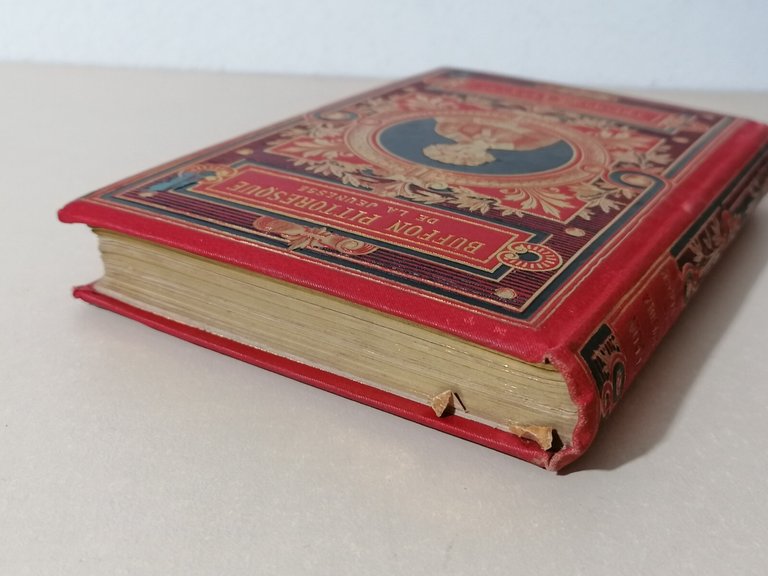 Buffon Pittoresque de la jeunesse Livre Libro in francese Lefevre …