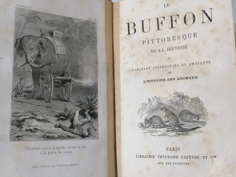 Buffon Pittoresque de la jeunesse Livre Libro in francese Lefevre …