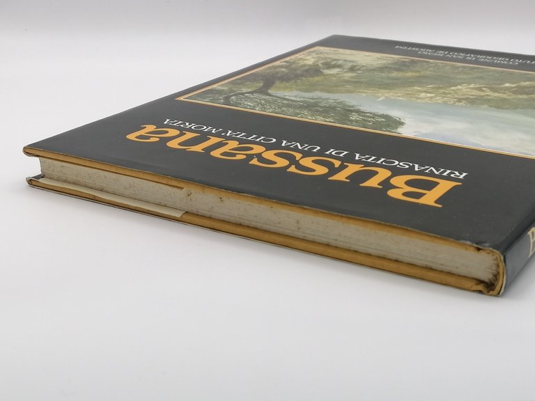 Bussana Rinascita Di Una Città Morta Libro Bernardini De Agostini …