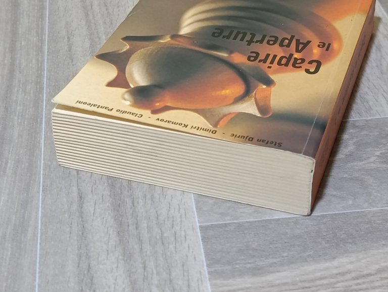 Capire le aperture. Tutto su 1.d4. Partite di Donna e …