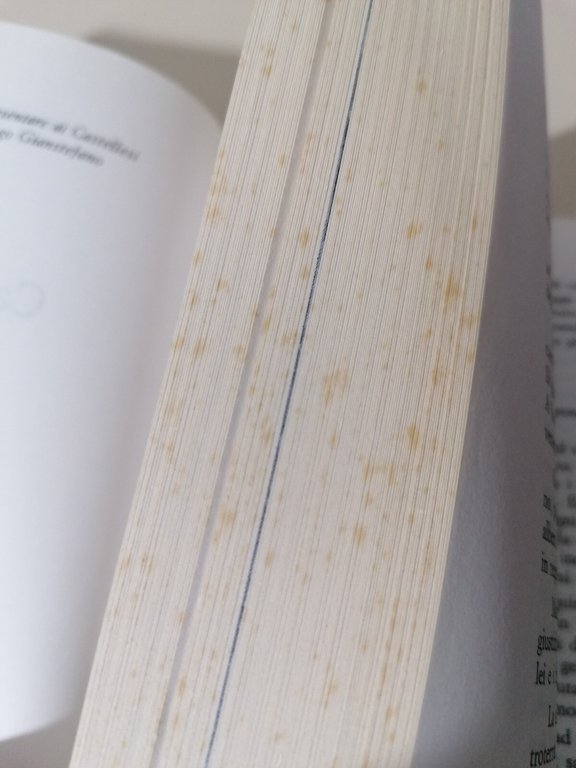 Castelvittorio Graffiti Di Storia E Tradizioni Civiltà Contadina Libro Allaria