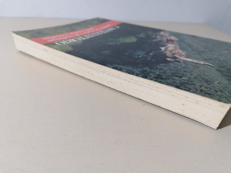 Castelvittorio Graffiti Di Storia E Tradizioni Civiltà Contadina Libro Allaria