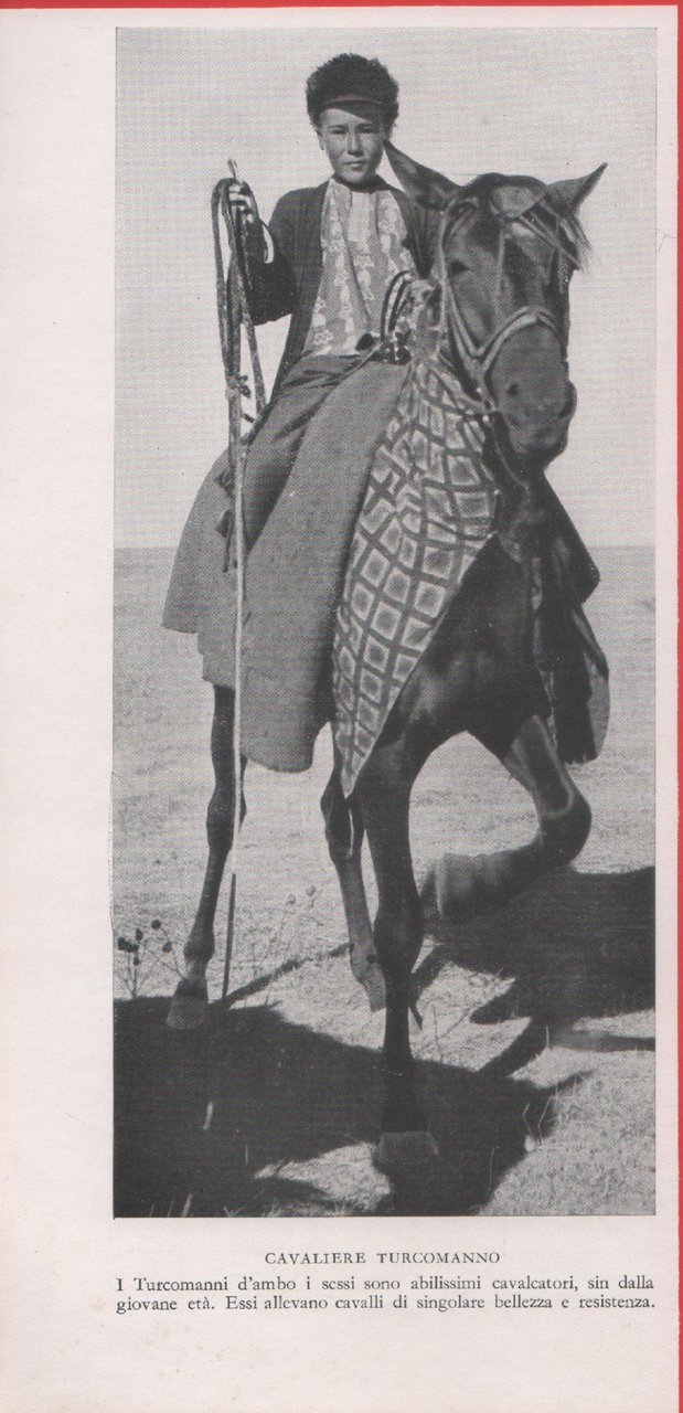 Cavaliere turcomanno. Immagine 1937 | Immagine principale