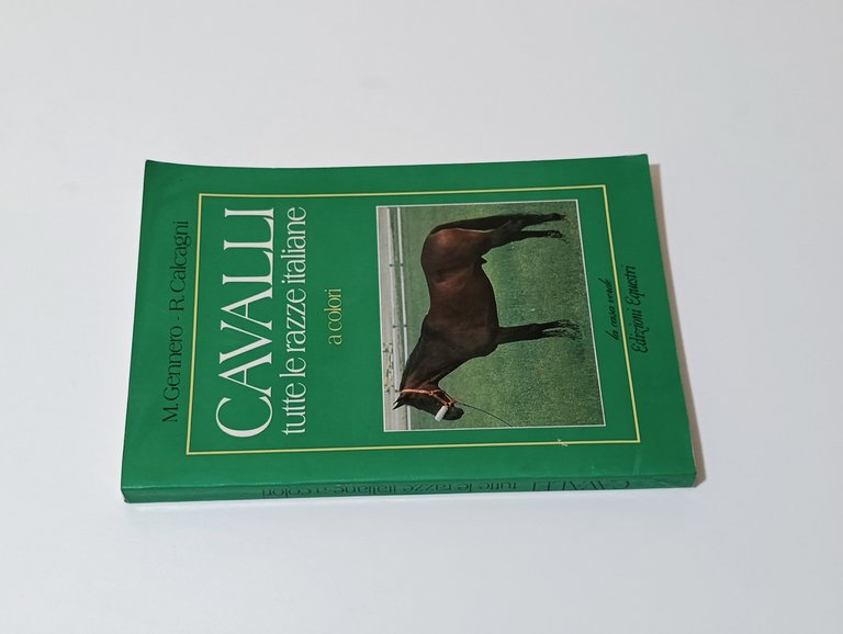 Cavalli: tutte le razze italiane A Colori | Immagine Gallery 3