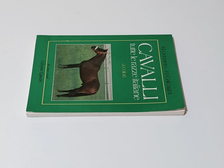 Cavalli: tutte le razze italiane A Colori | Immagine Gallery 4