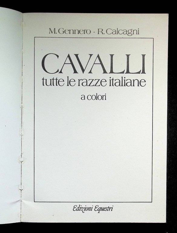 Cavalli: tutte le razze italiane A Colori | Immagine Gallery 9