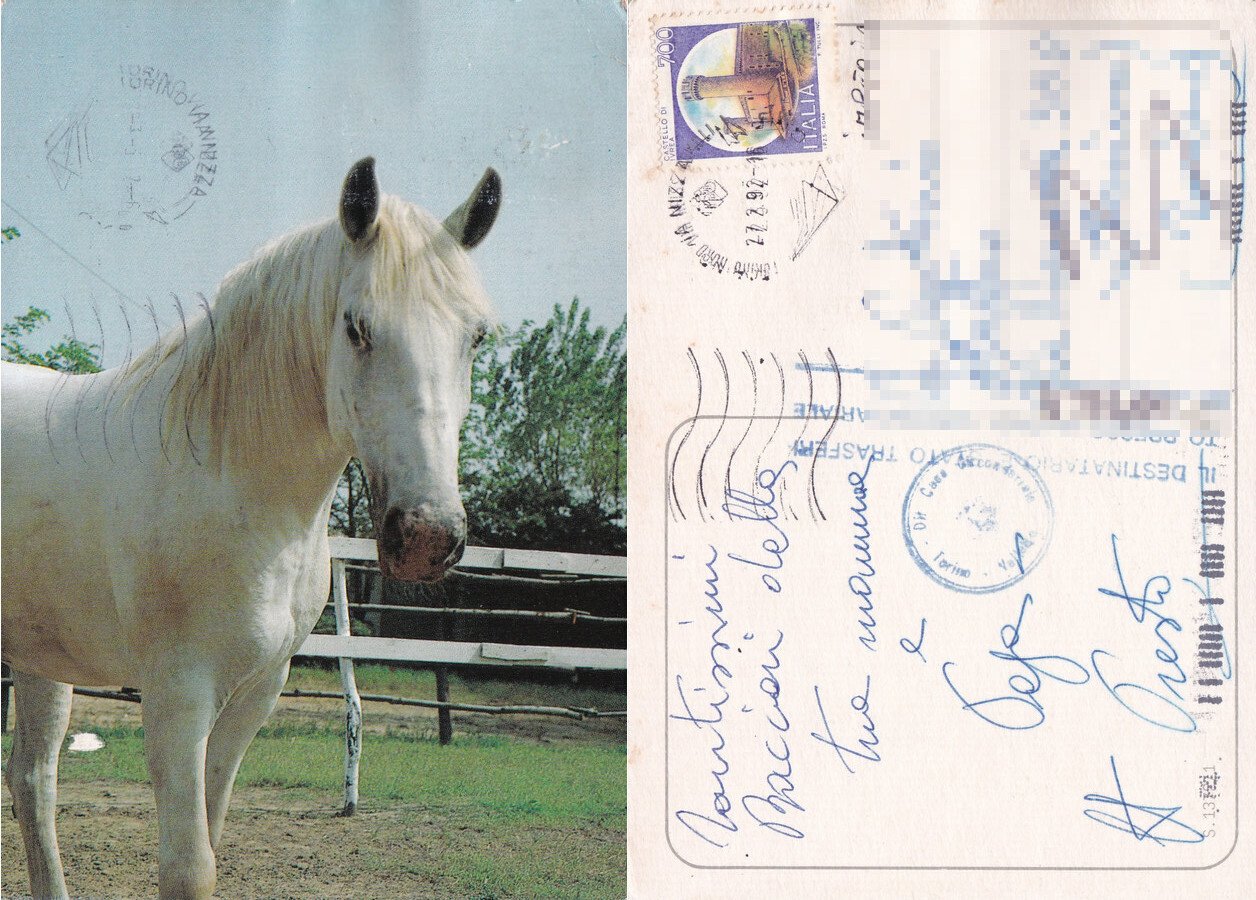 Cavallo bianco. Viaggiata 1992 | Immagine principale