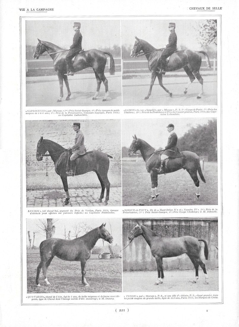 Chevaux de Selle / Clapiers Abrités - Immagine 1924 | Immagine principale