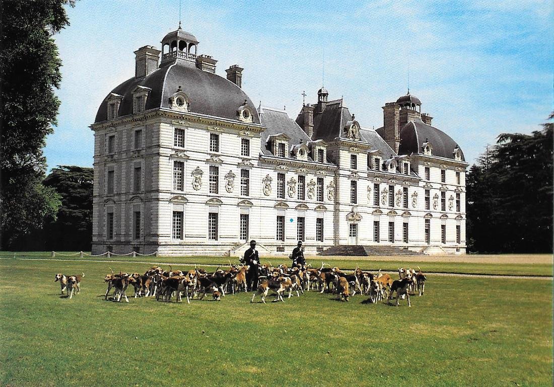 Cheverny. Le chateau. Non viaggiata | Immagine principale