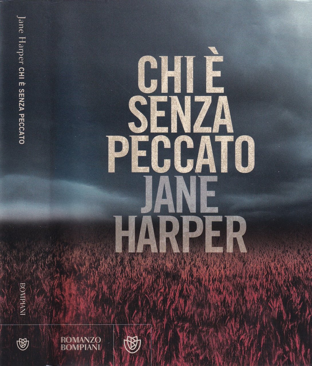 Chi è senza peccato | Immagine principale