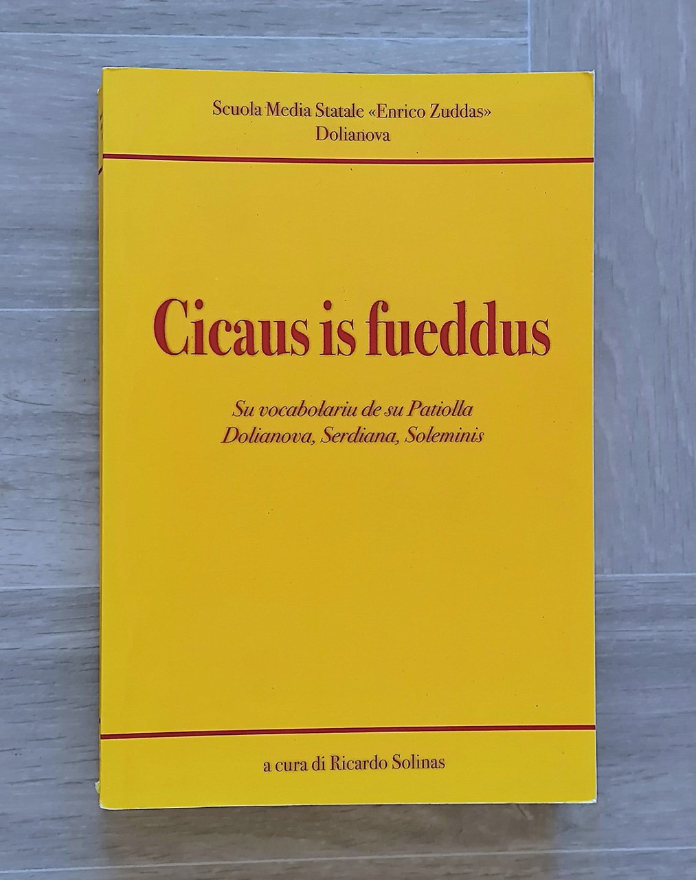Cicaus is Fueddus - Su Vocabolariu de su Patiolla Dolianova …