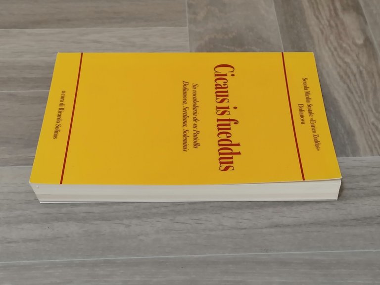 Cicaus is Fueddus - Su Vocabolariu de su Patiolla Dolianova …