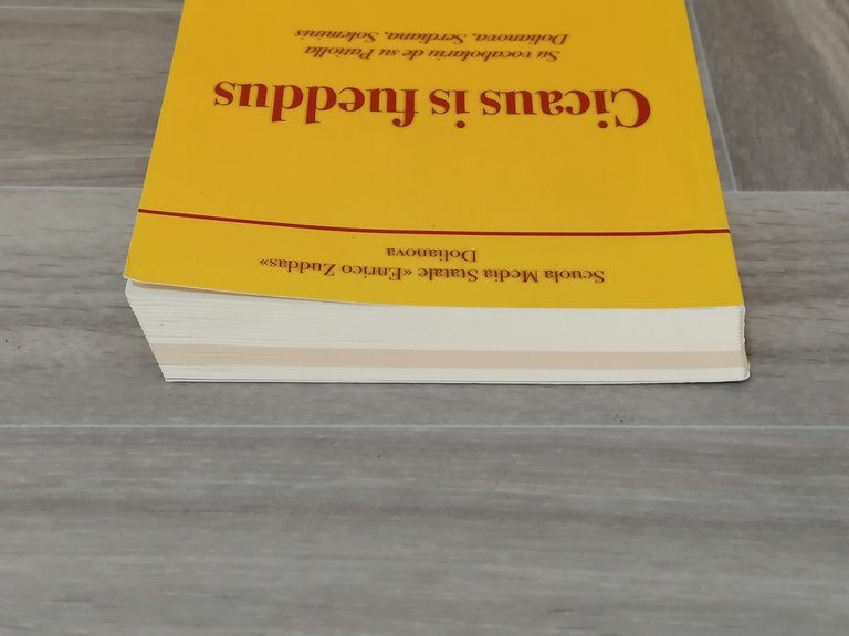 Cicaus is Fueddus - Su Vocabolariu de su Patiolla Dolianova …