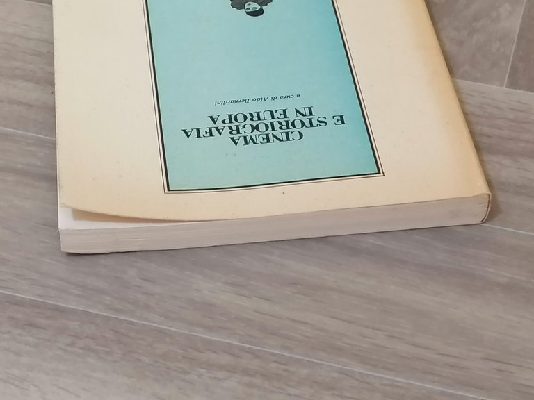 Cinema e Storiografia in Europa Libro Aldo Bernardini Convegno Reggio …