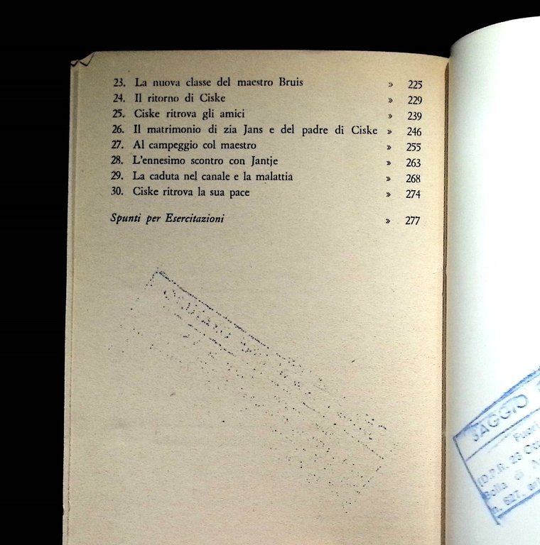 Ciske, Muso di Topo | Immagine Gallery 8