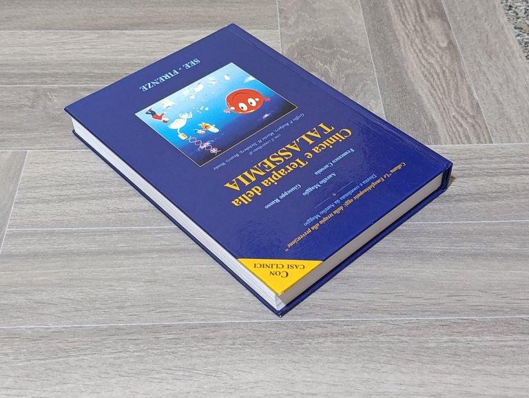 Clinica e Terapia della Talassemia