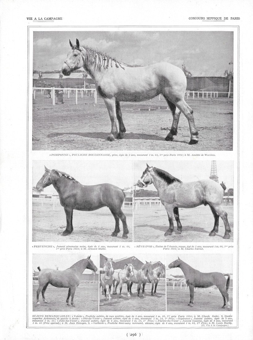 Concours Hippique de Paris - Immagine 1924 | Immagine principale