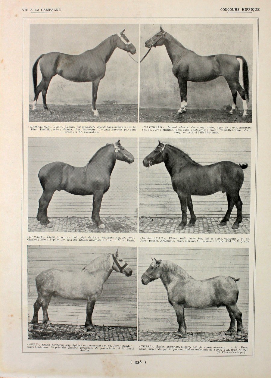 Concours Hippique. Immagine 1927 | Immagine principale