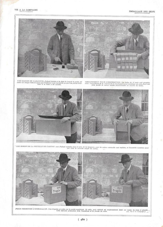 Conditionnement des eufs / Emballage des eufs - Immagine 1923 | Immagine Gallery 2