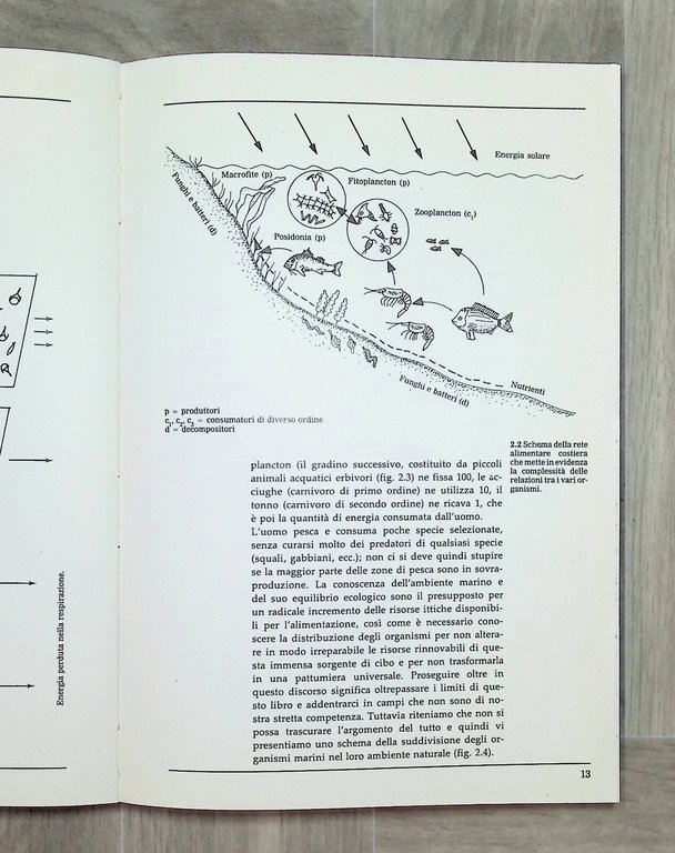 Consumare Il Mare Libro Maestrelli Senesi Radici del Pane Clesav …