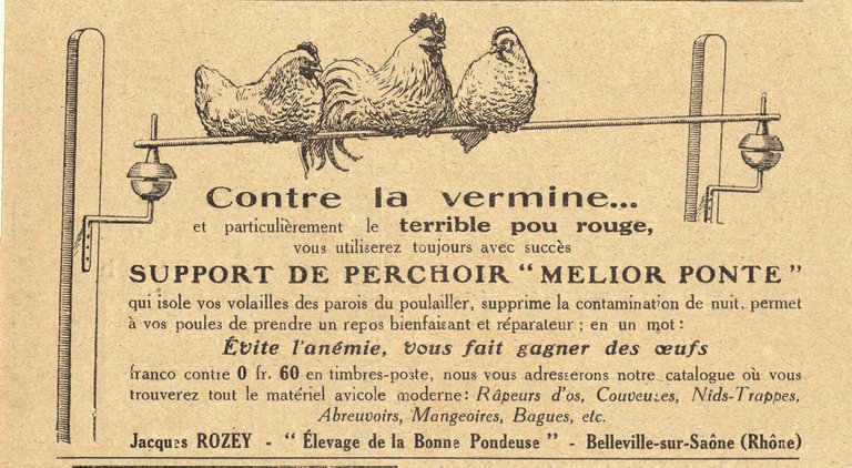 Contre la vermine support de perchoir Melior Ponte. Jaques Rozey. … | Immagine Gallery 2