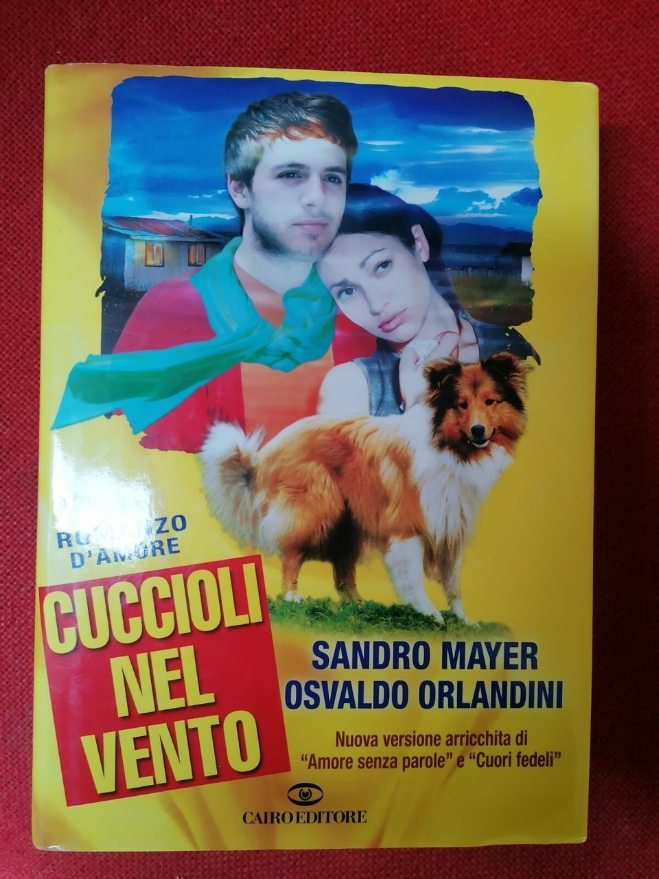 Cuccioli nel vento