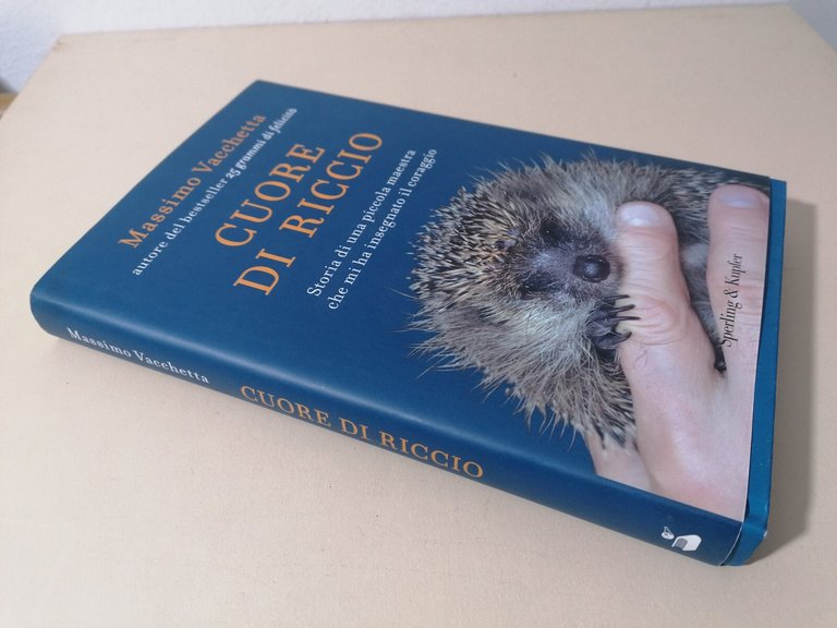 Cuore di riccio. Storia di una piccola maestra che mi …