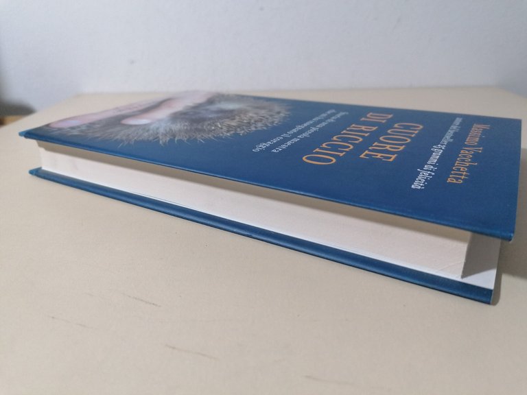 Cuore di riccio. Storia di una piccola maestra che mi …