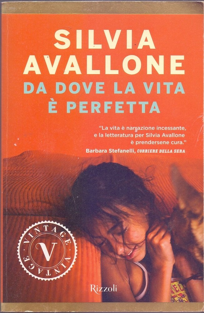 Da dove la vita è perfetta - Silvia Avallone | Immagine principale