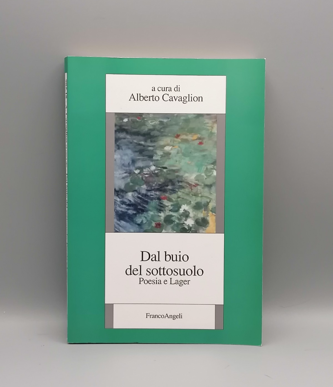 Dal Buio Del Sottosuolo Poesia e Lager Libro Cavaglion Franco … | Immagine principale