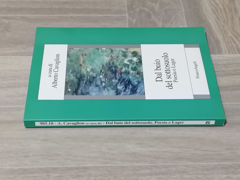 Dal Buio Del Sottosuolo Poesia e Lager Libro Cavaglion Franco …