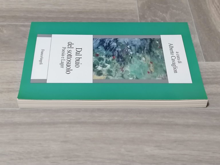 Dal Buio Del Sottosuolo Poesia e Lager Libro Cavaglion Franco …