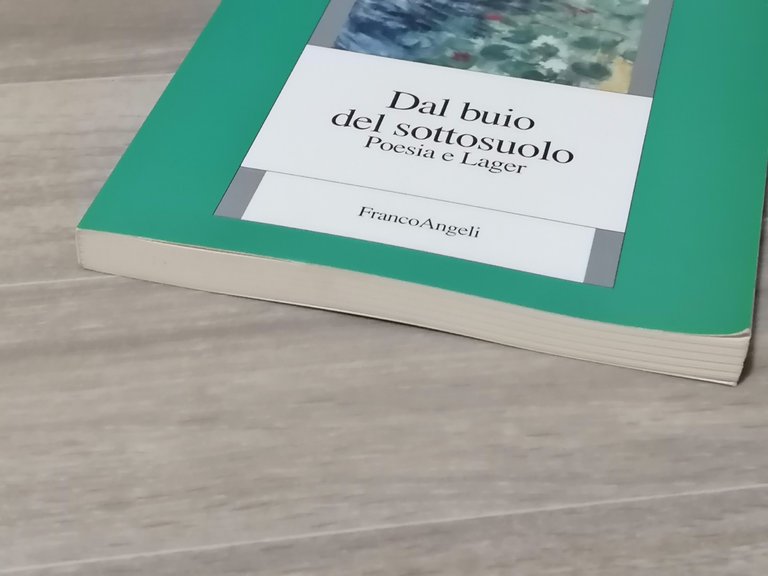 Dal Buio Del Sottosuolo Poesia e Lager Libro Cavaglion Franco …