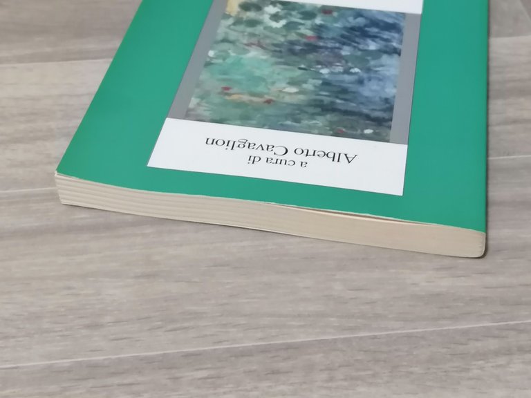 Dal Buio Del Sottosuolo Poesia e Lager Libro Cavaglion Franco …