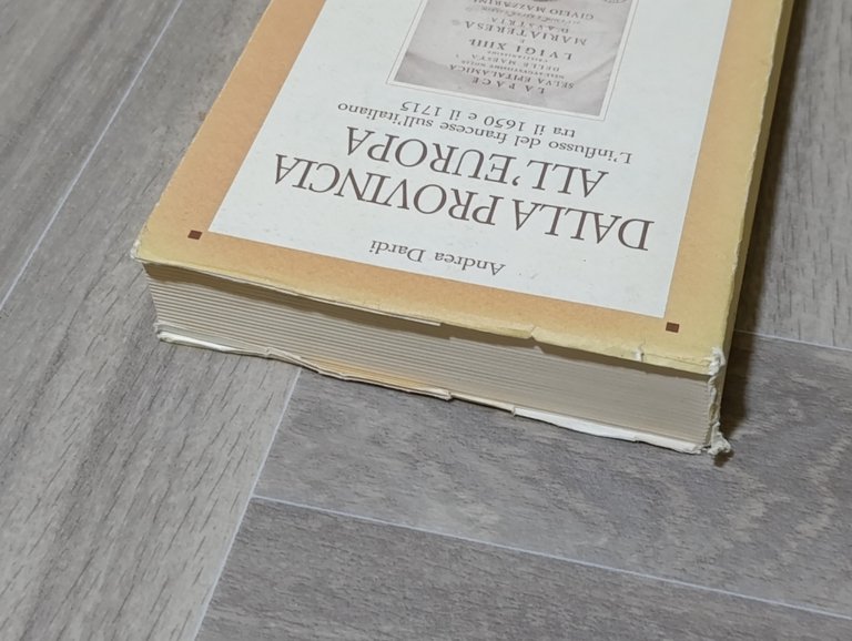 Dalla provincia all'Europa : l'influsso del francese sull'italiano tra il …