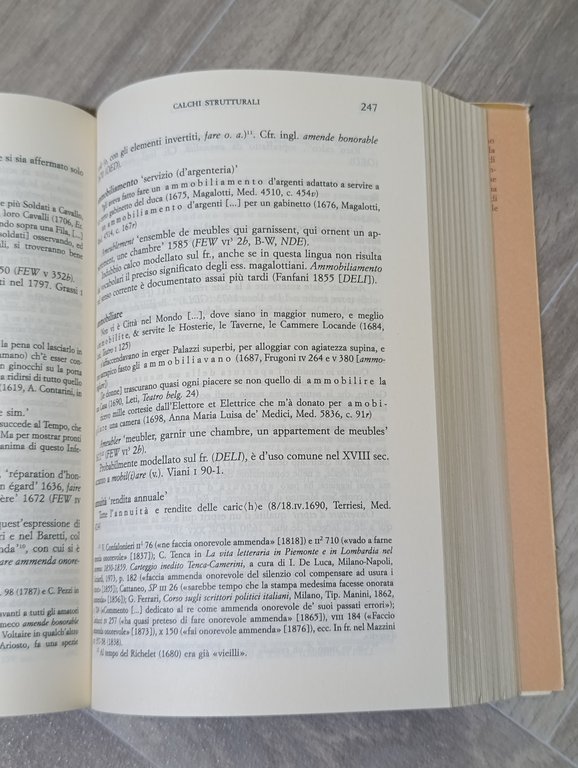 Dalla provincia all'Europa : l'influsso del francese sull'italiano tra il …