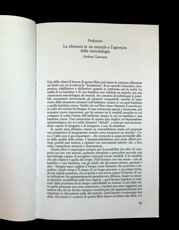 Dalle Cure Materne all'Interpretazione Libro Fava Vizziello Stern 9788870782004