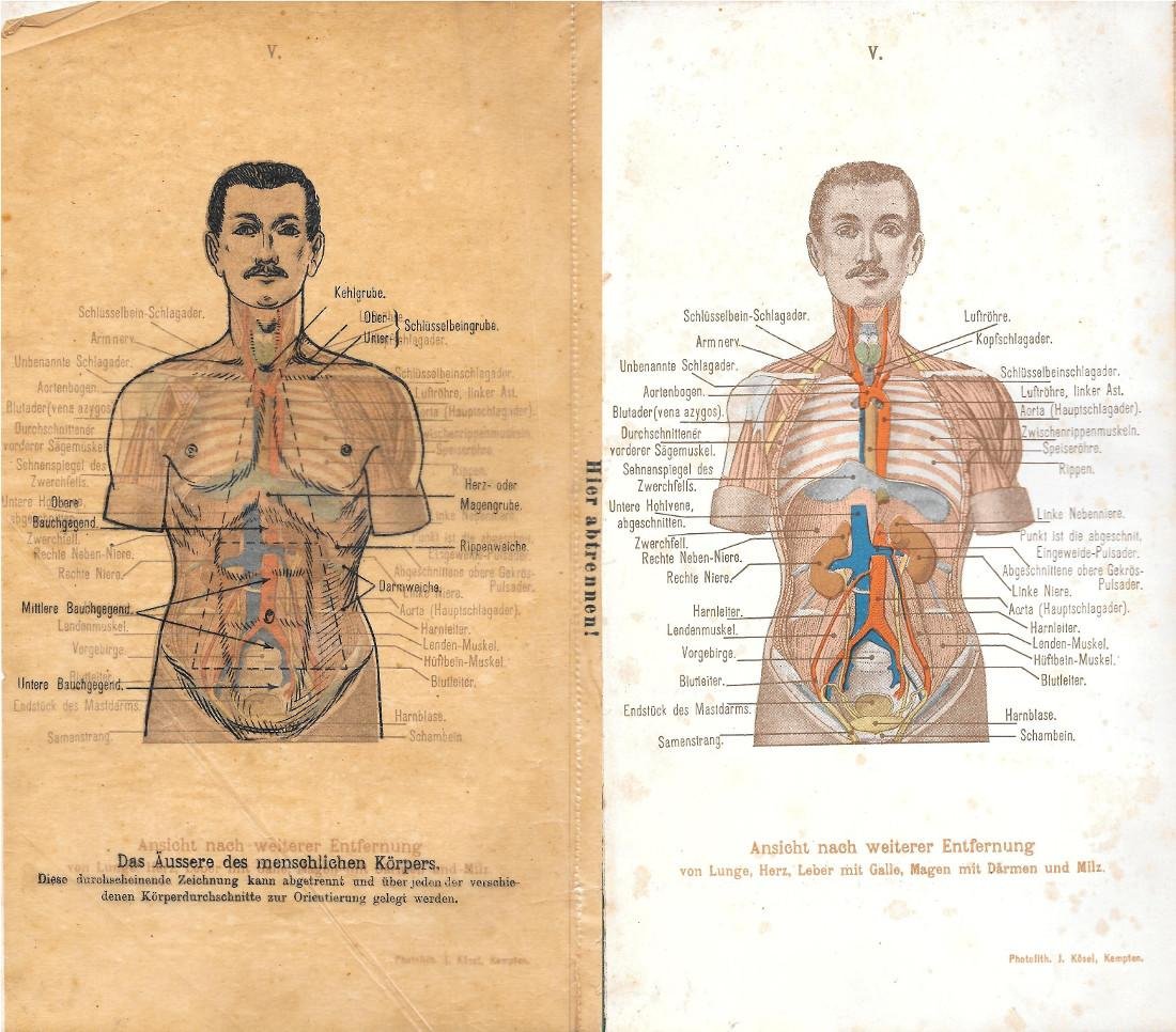 Das Aussere des menschlichen Korpers. Stampa 1903 | Immagine principale
