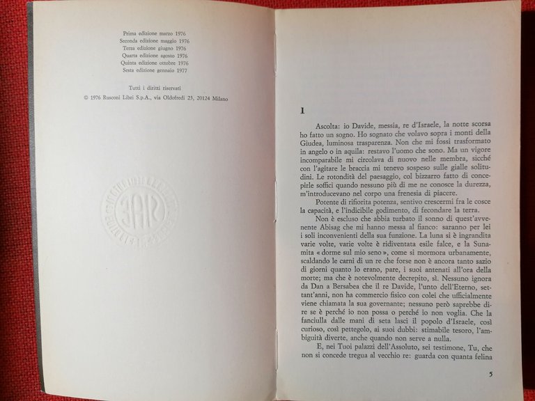 Davide - Libro Carlo Coccioli - Rusconi Sesta edizione 1977