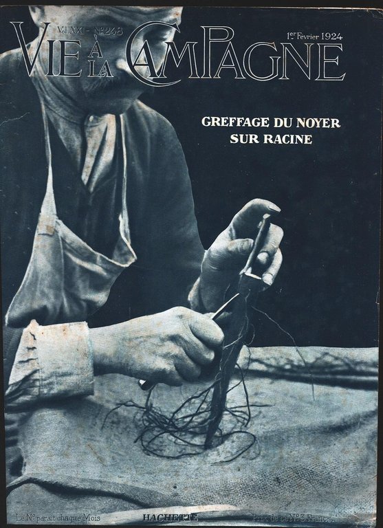 Delage/Greffage du noyer su racine. Advertising 1924 | Immagine Gallery 2