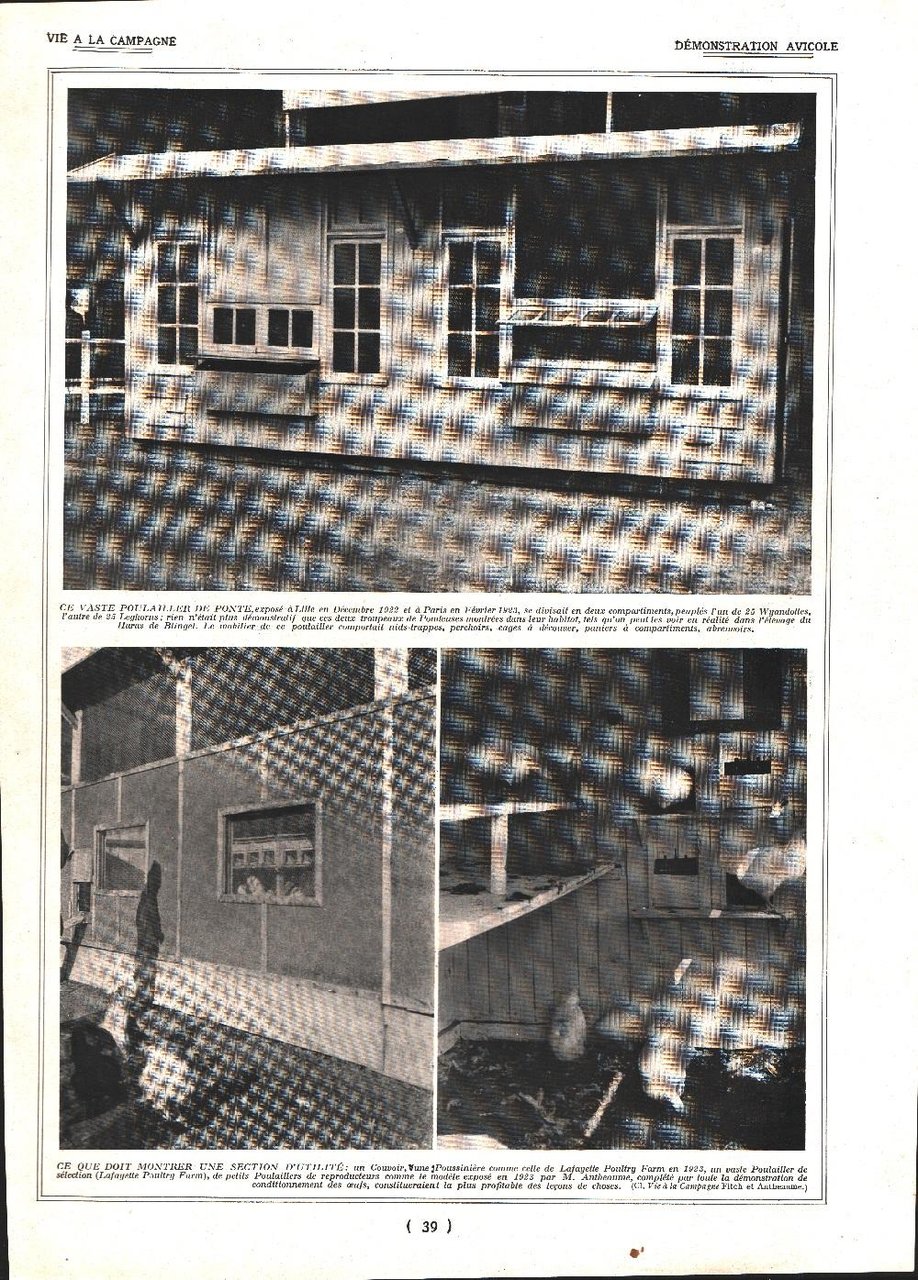 Demonstration avicole /Jardin rustique. Stampa 1924 | Immagine principale